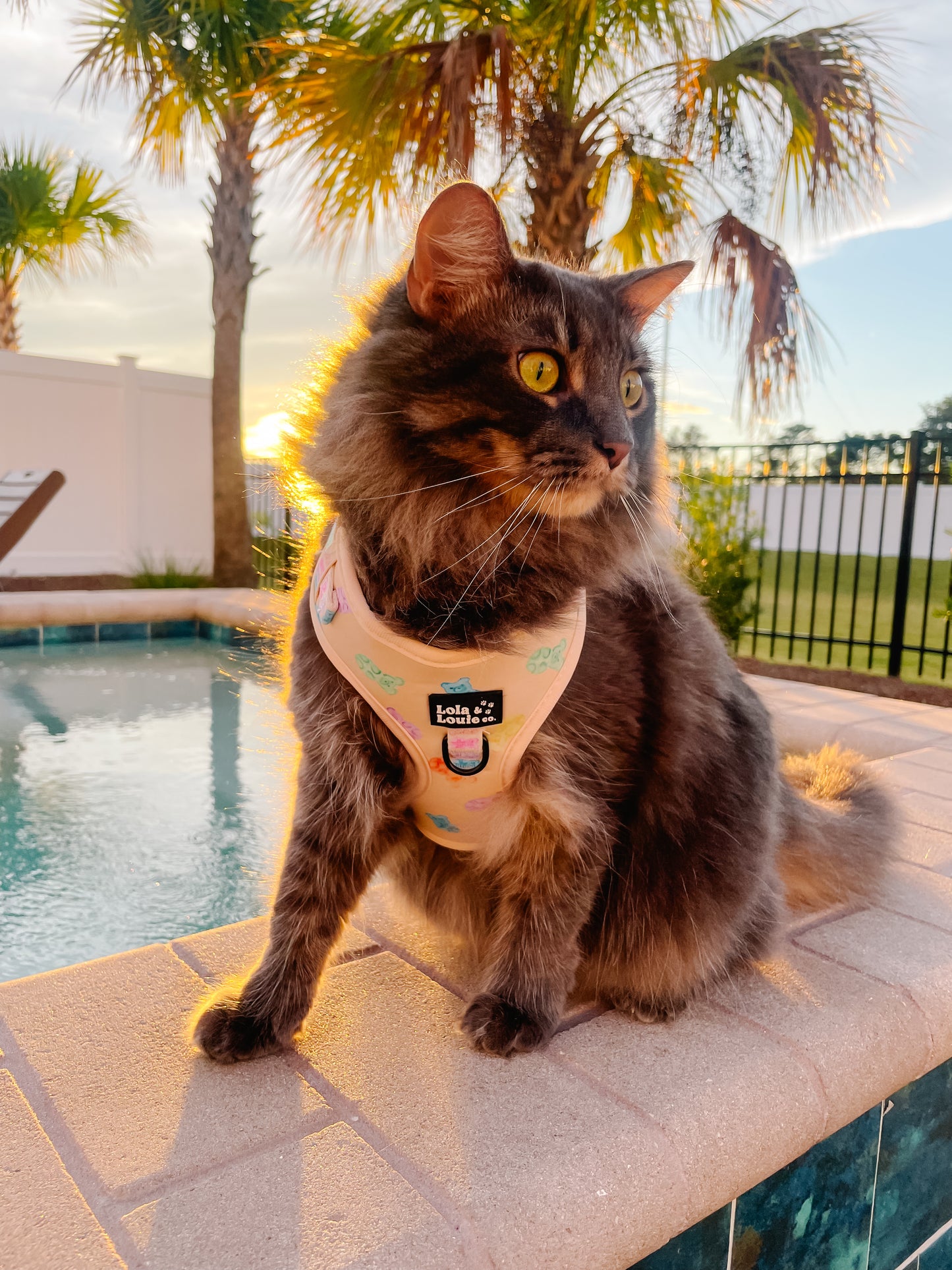 Adjustable Harness- Gummy Bears