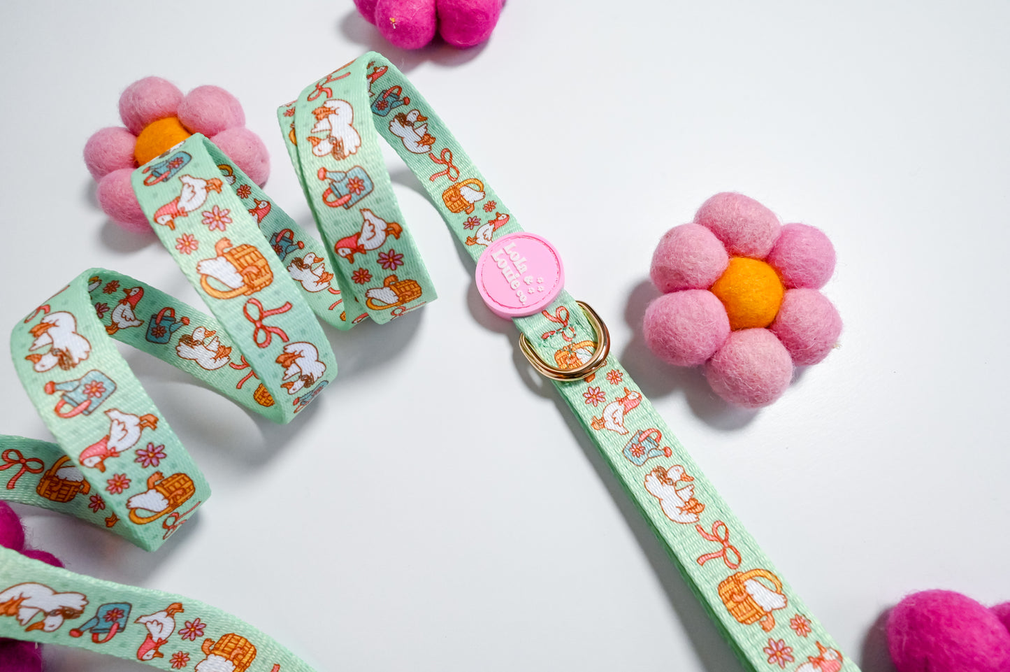 Fabric Leash- Silliest Goose On The Loose