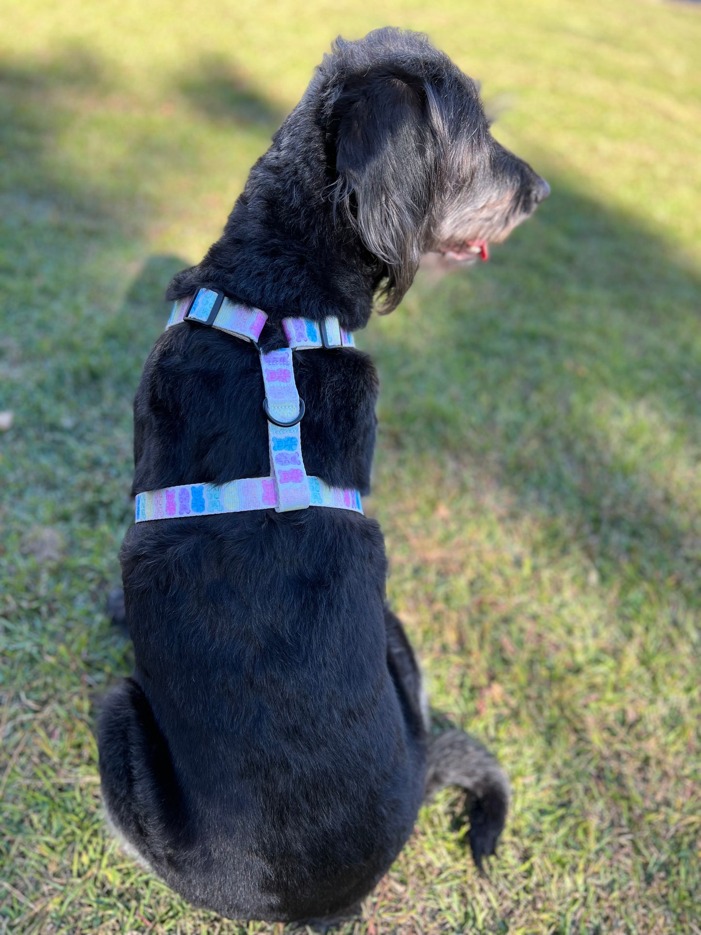 Adjustable Harness- Gummy Bears
