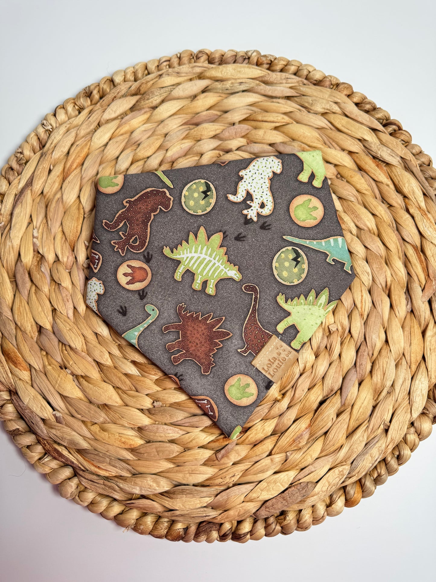 Dino Sugar Cookies
