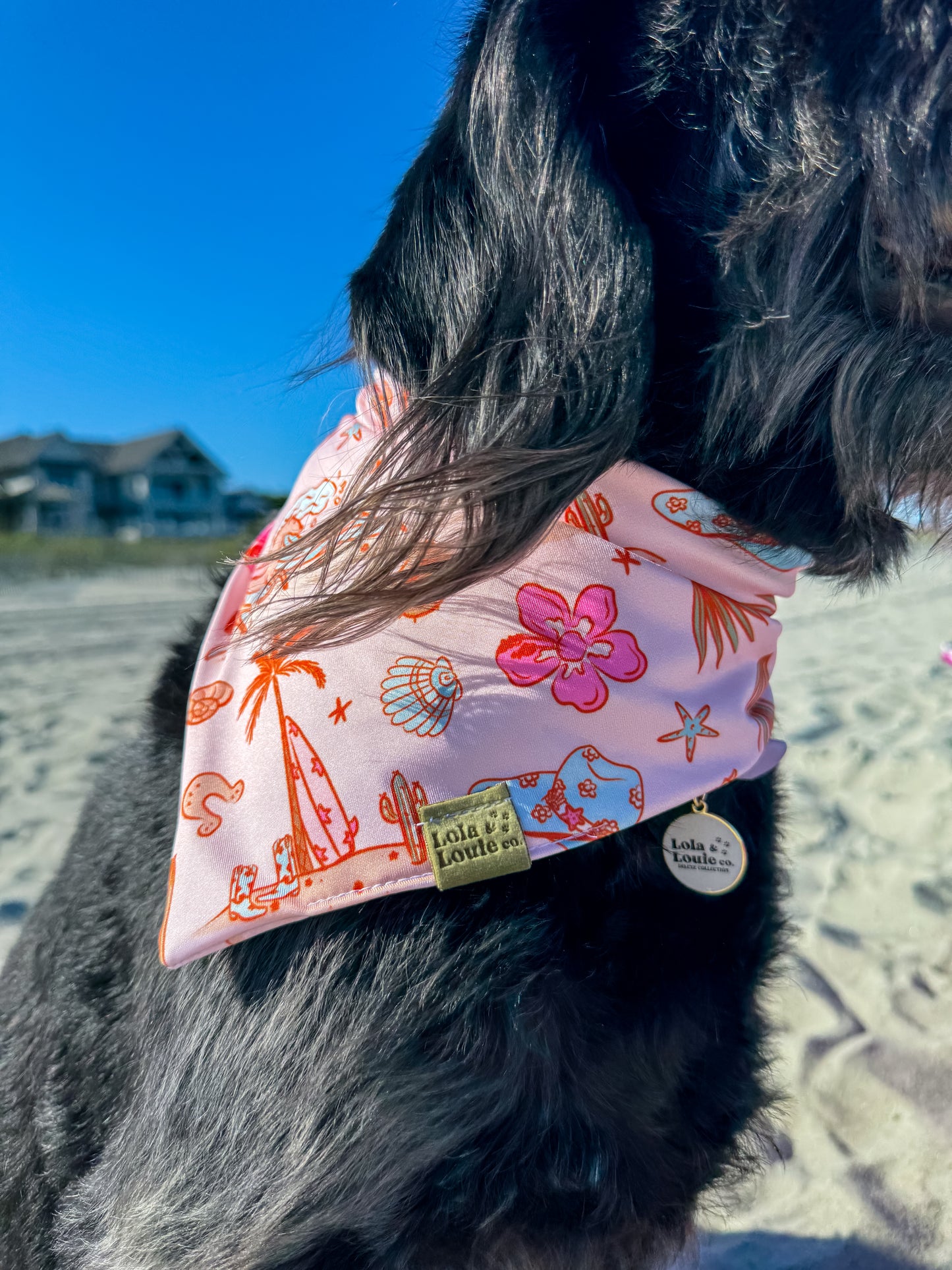 Coastal Cowgirl