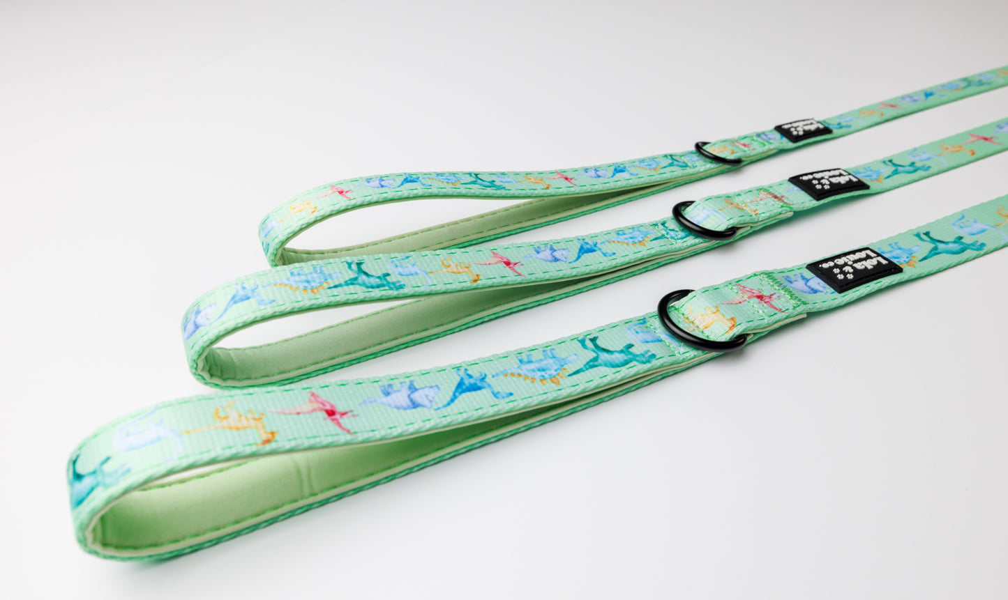 Fabric Leash- Dino Mite!