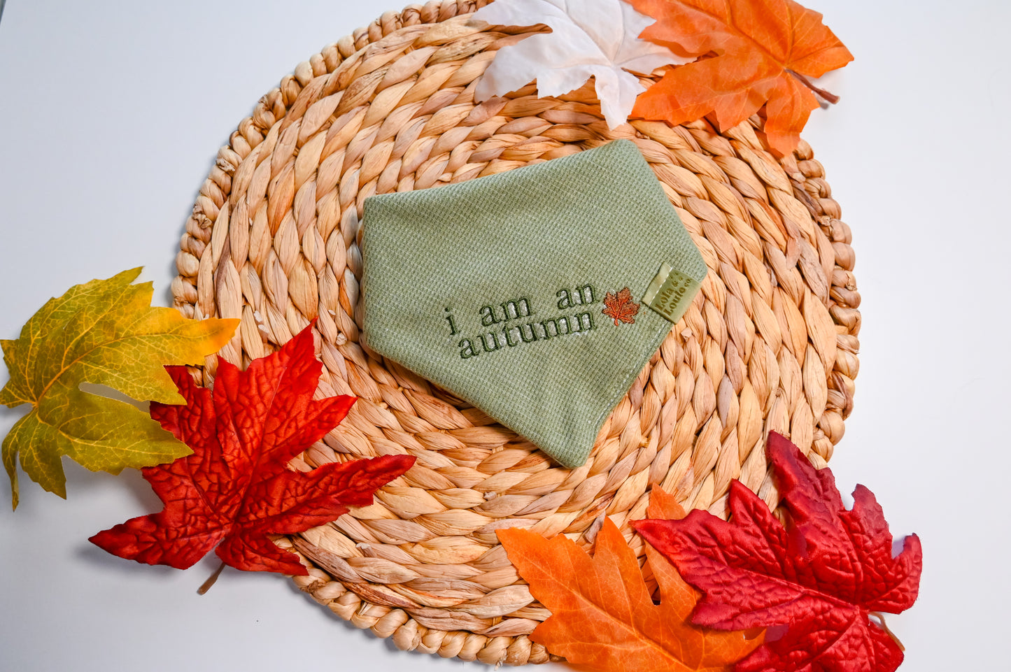 I am an autumn