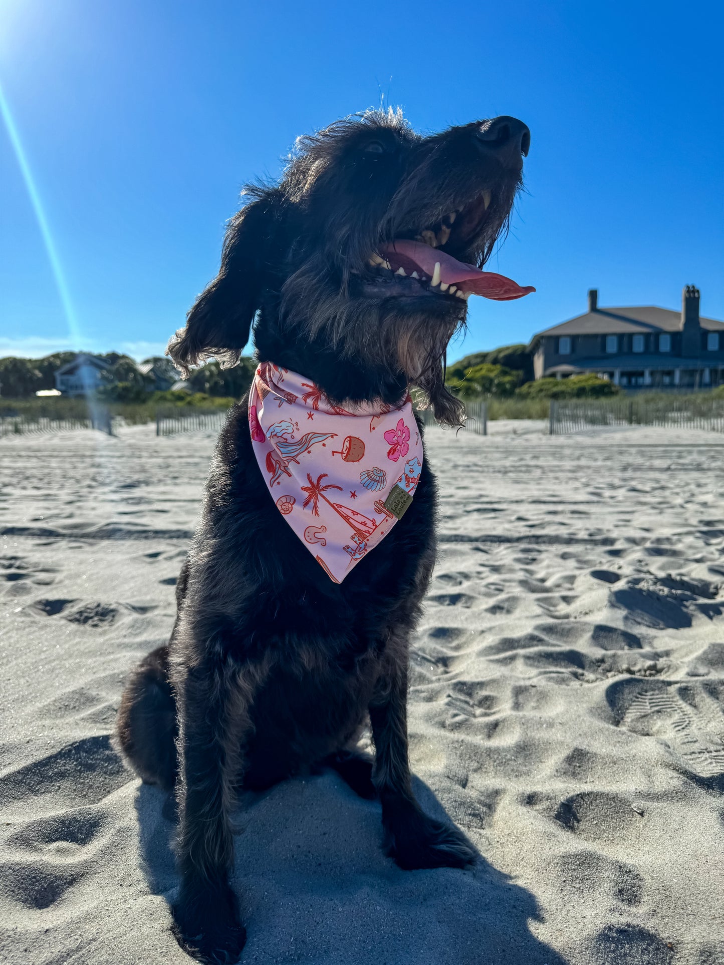 Coastal Cowgirl