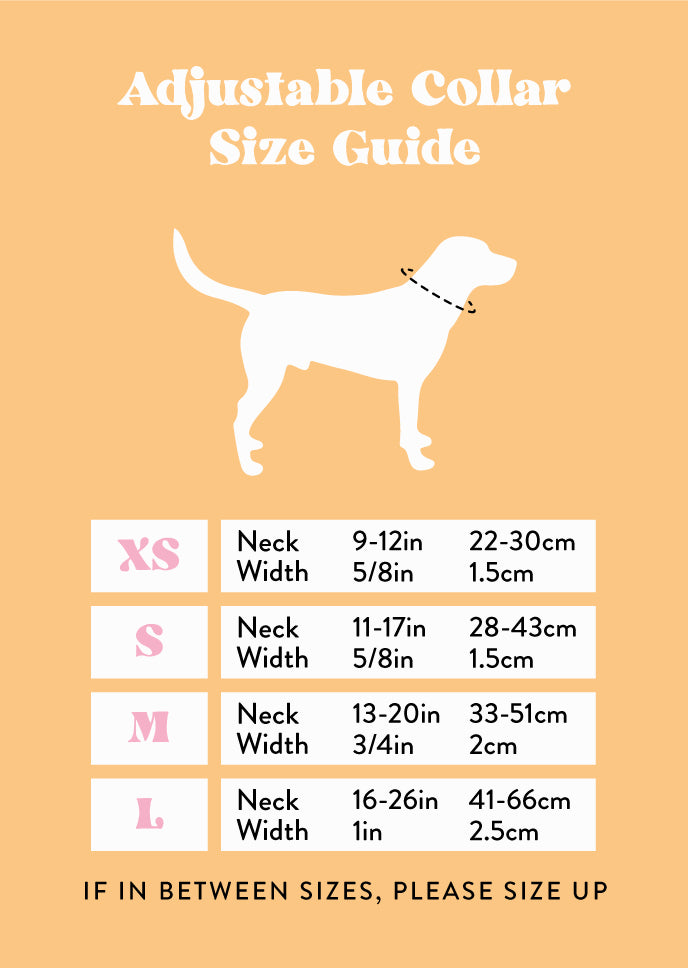 Adjustable Collar- Monstera