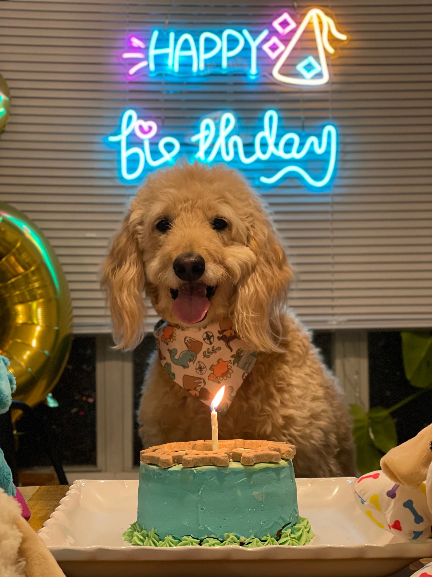 Dino Barkday