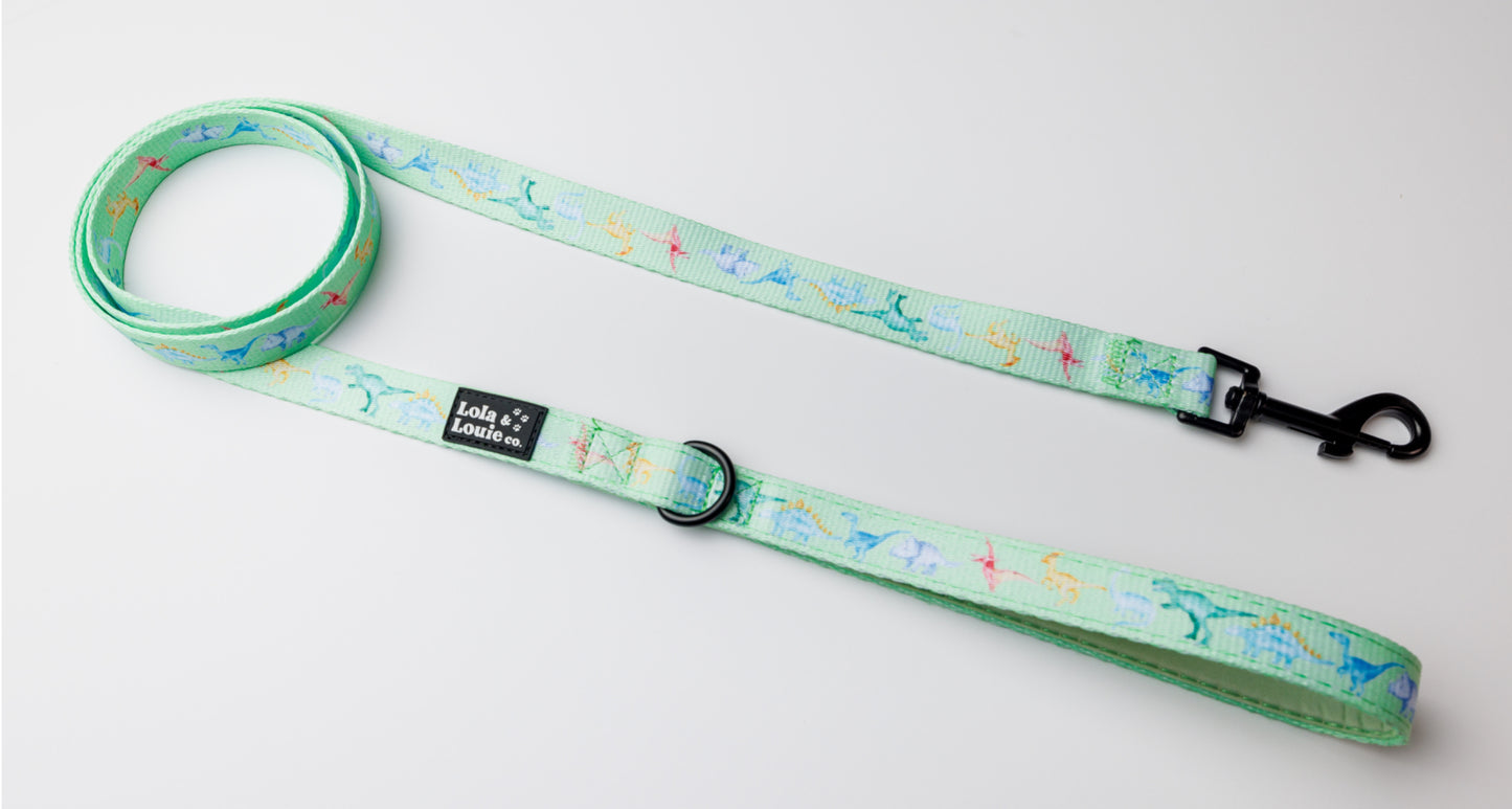 Fabric Leash- Dino Mite!