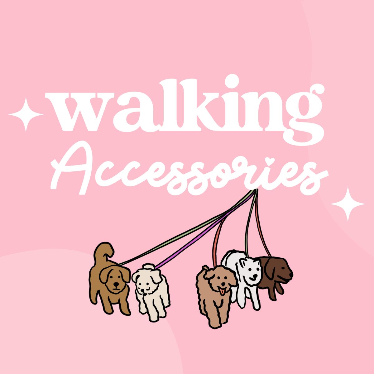 Walking Accessories