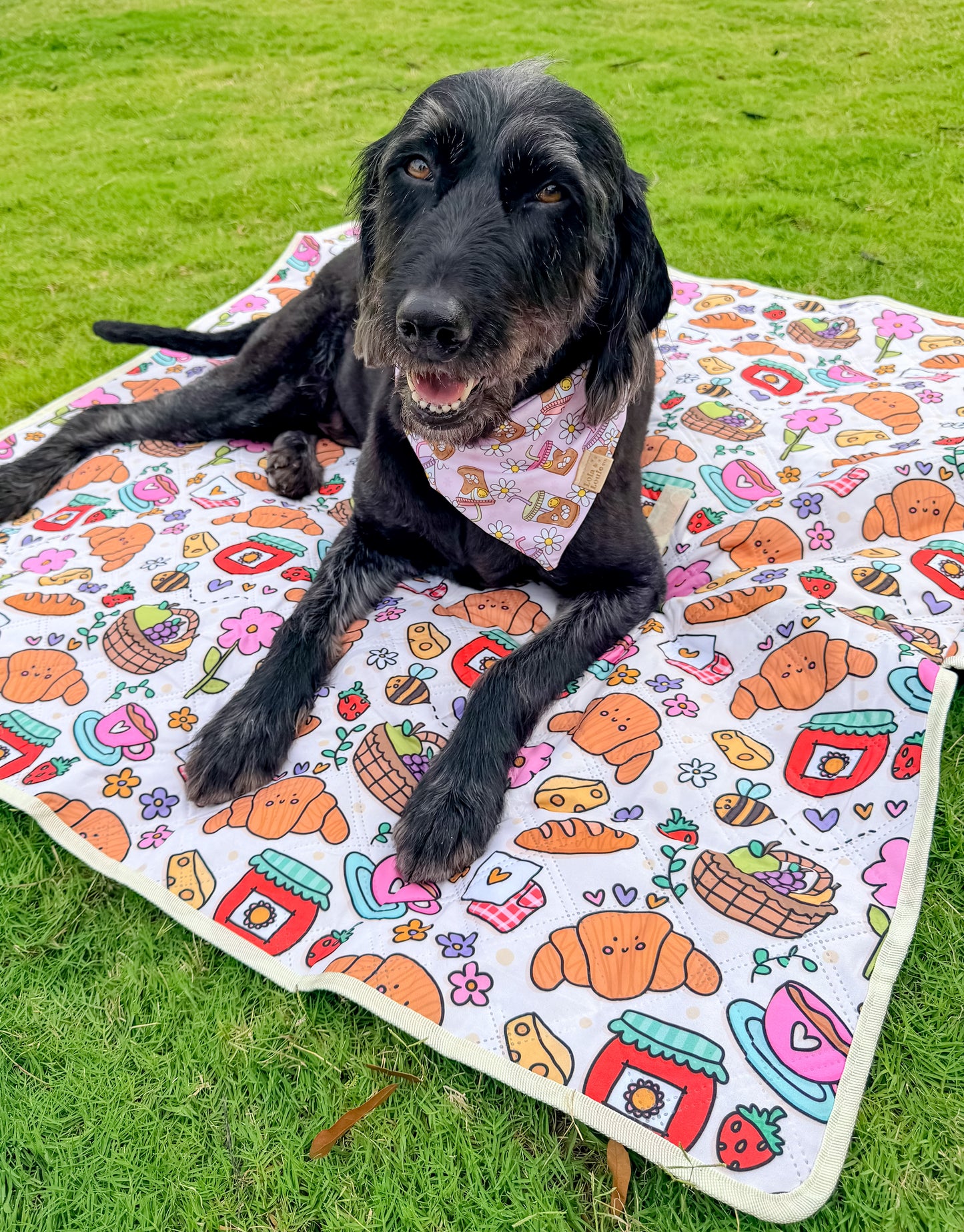 Pet Travel Mat