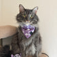 Haunted Cat