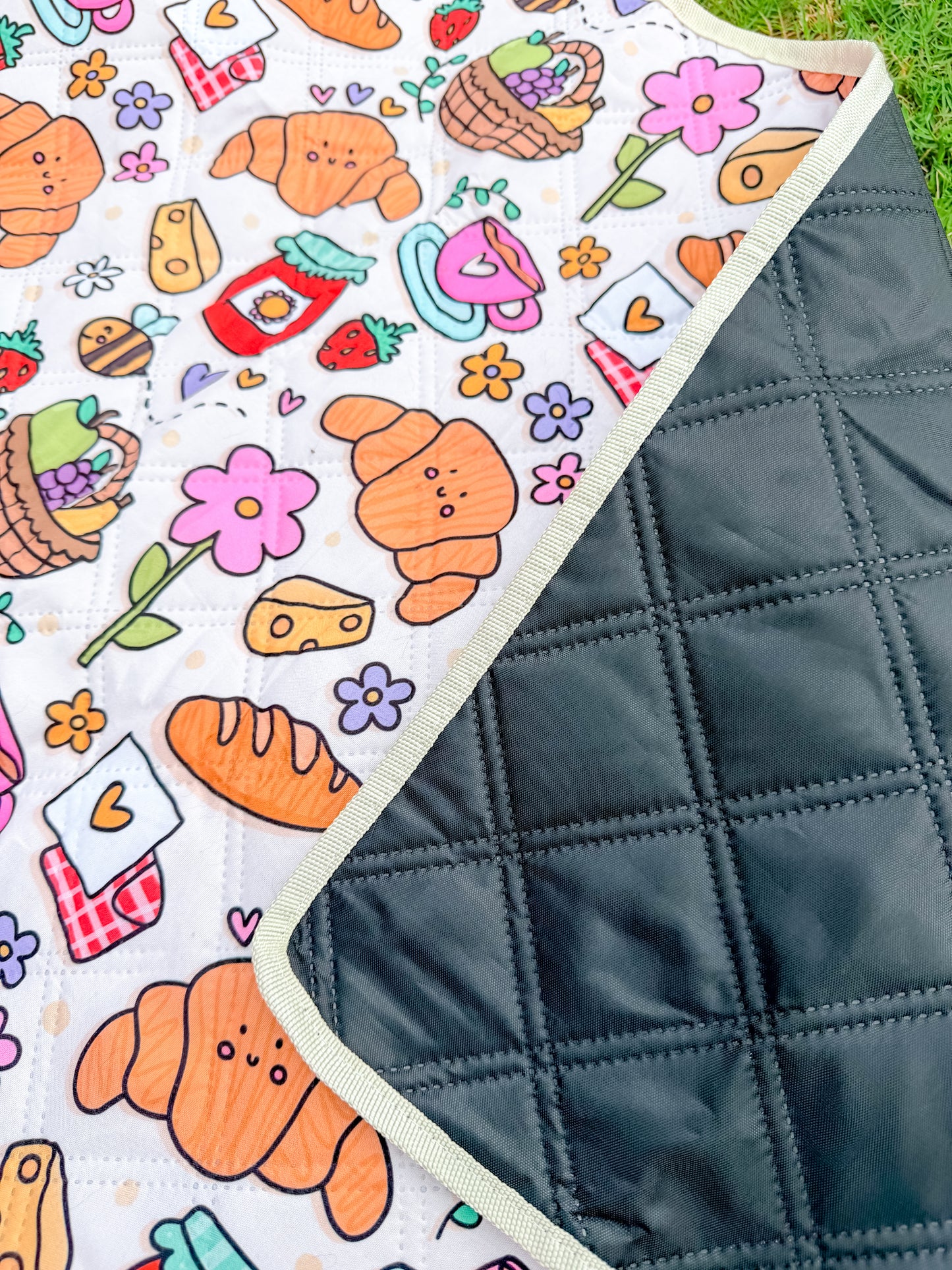 Pet Travel Mat
