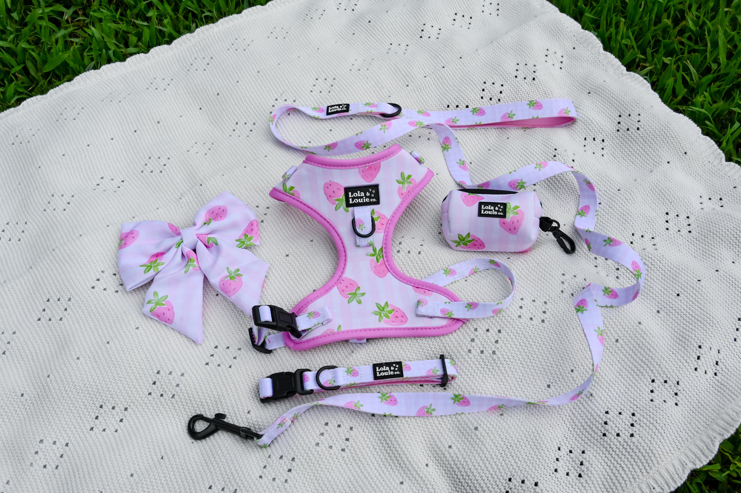 Adjustable Collar- Strawberry Shortpup