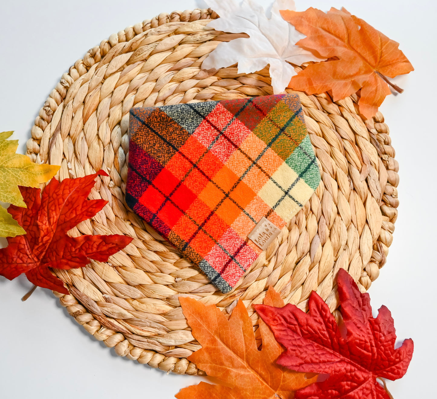 Fall Plaid