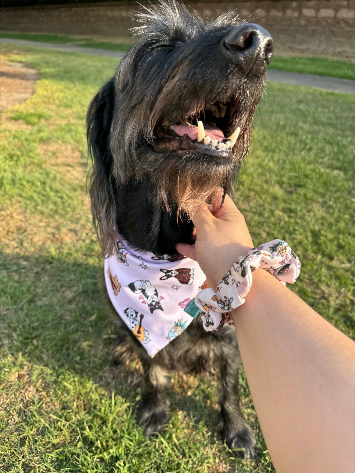 Eras Matching Scrunchie