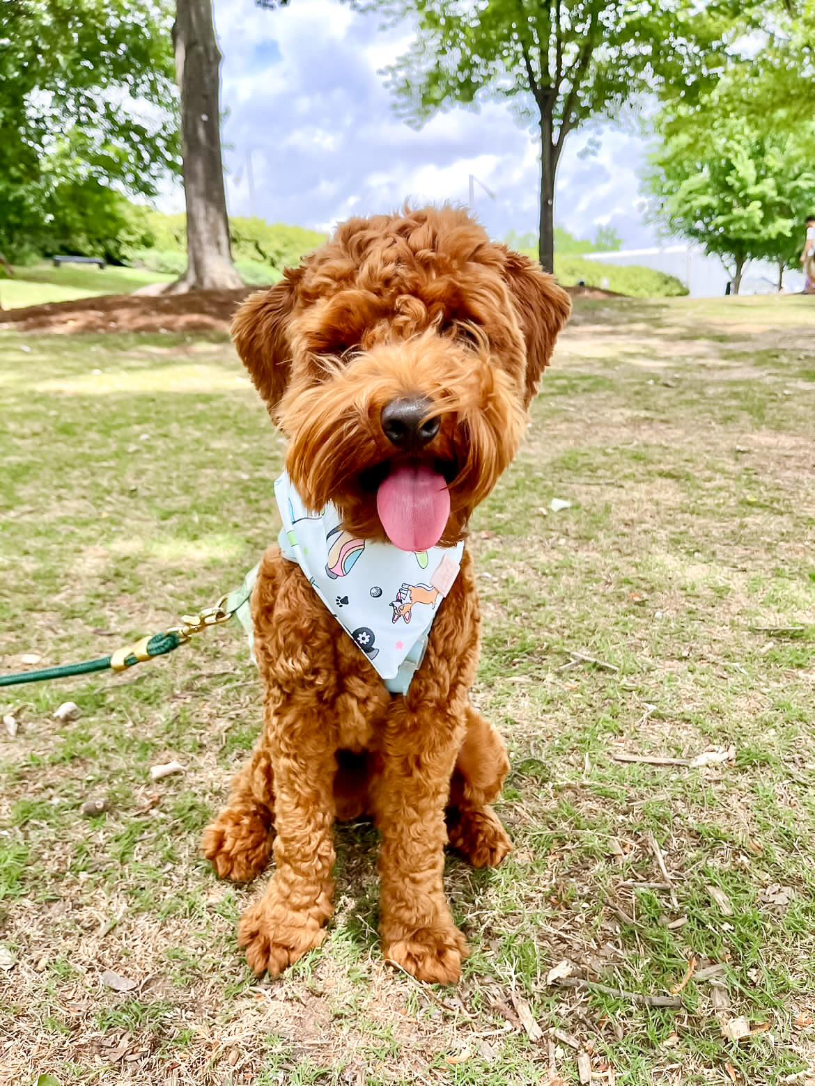 Golfin’ Pups